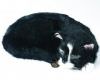 Black Pussy 'able Seaman Simon